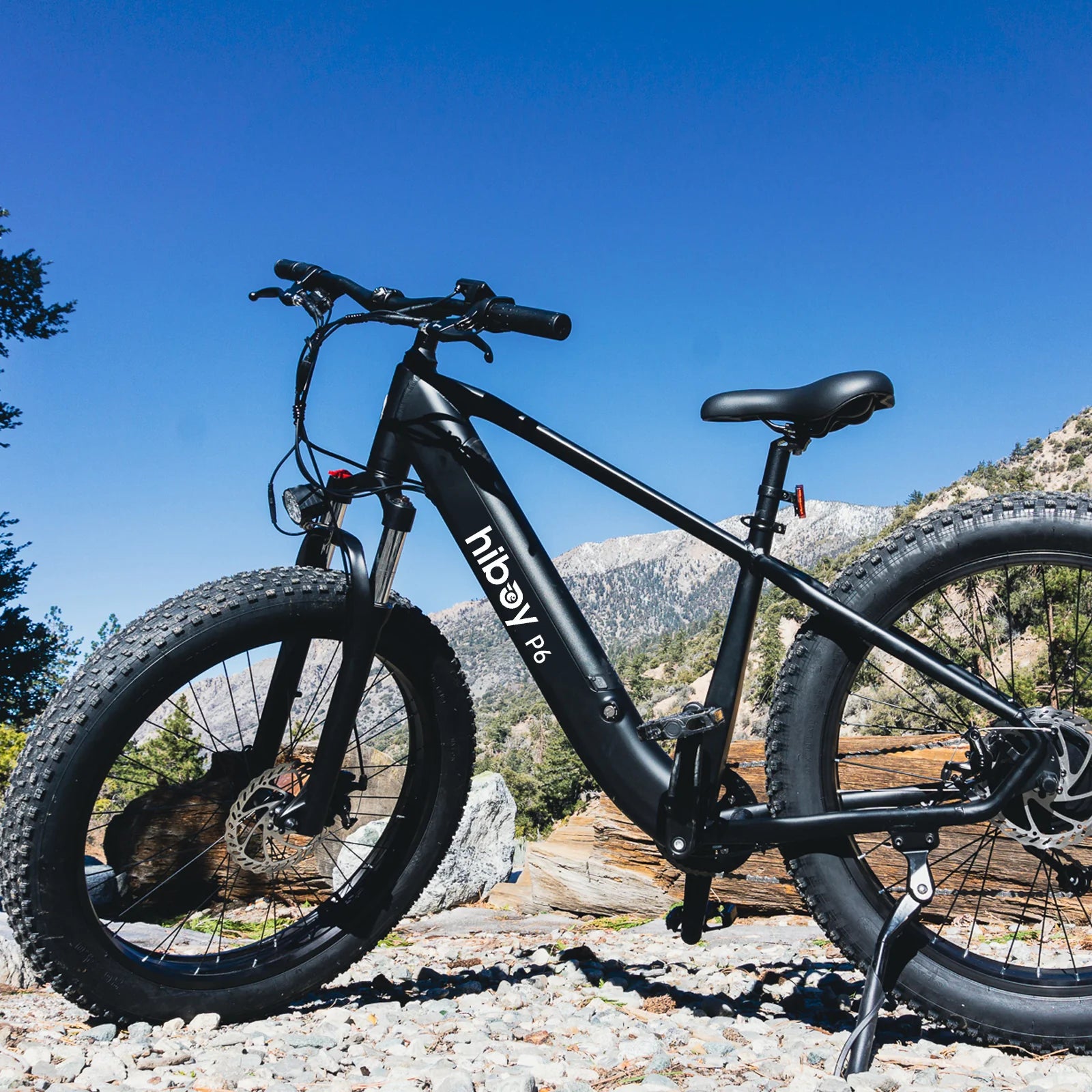 P6 Fat Tire Electric Bike 2024