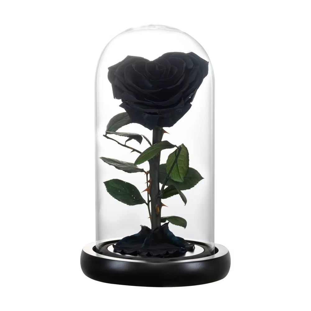 Heart Shaped Preserved Rose Beauty and the Beast Eternal Rose in Glass Dome Wedding Forever Flowers Valentines Christmas Gifts