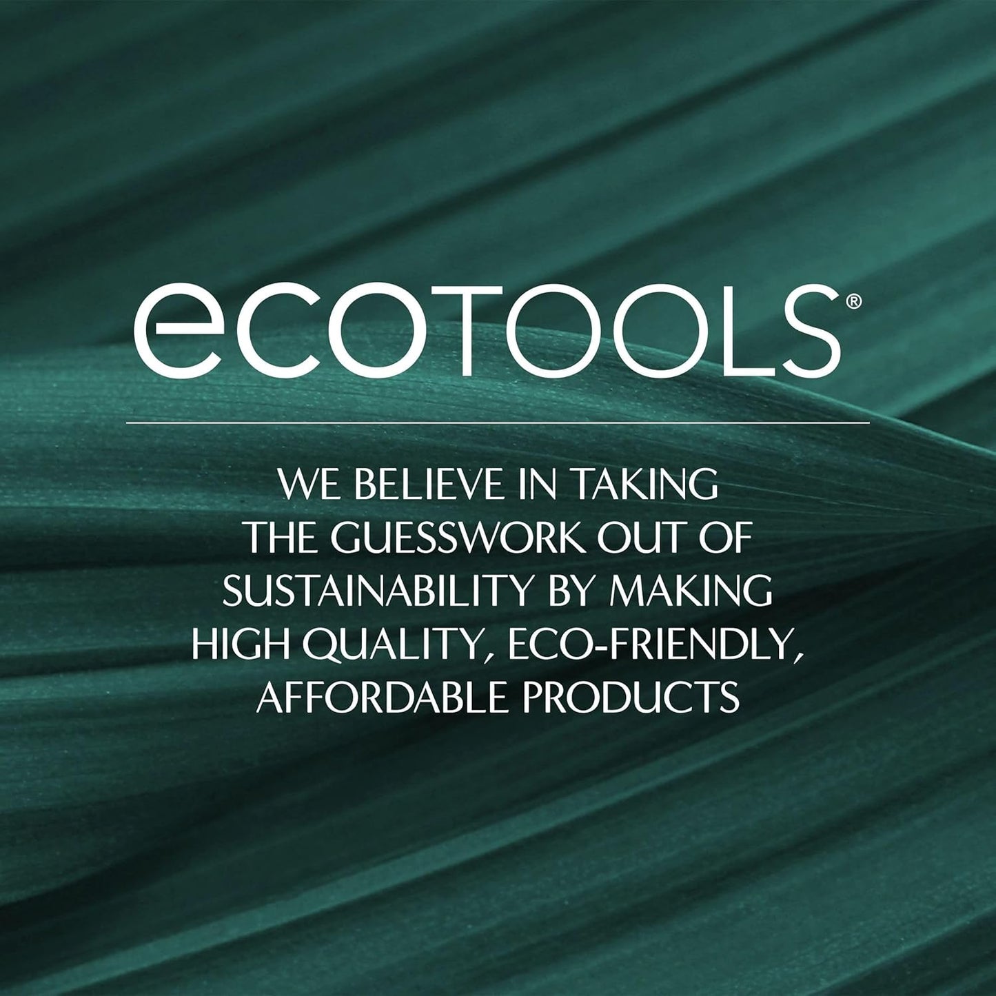 Eco Tools Daily Defined Eye Brush Kit