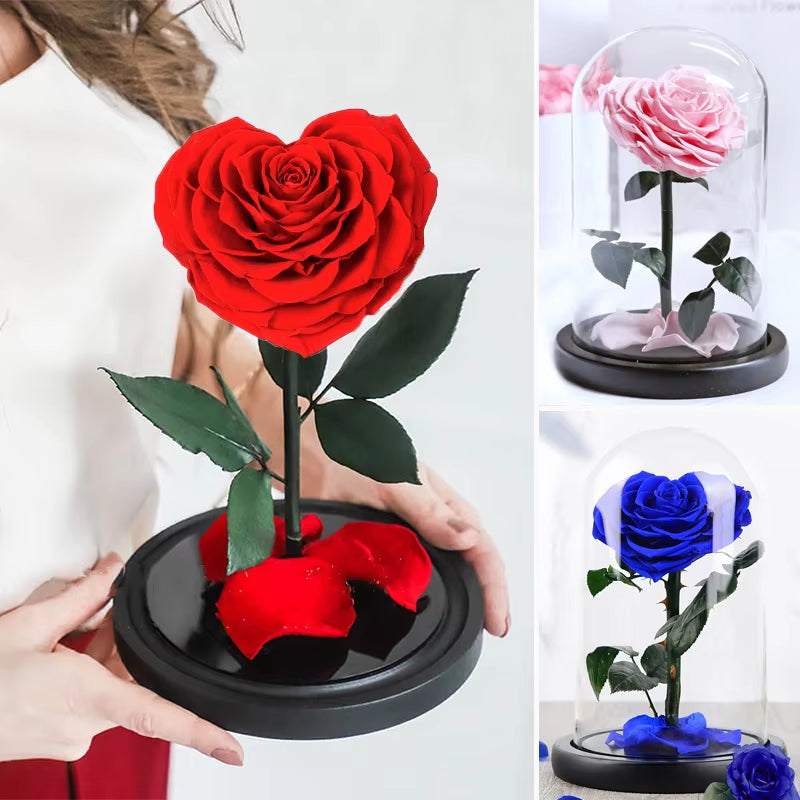 Heart Shaped Preserved Rose Beauty and the Beast Eternal Rose in Glass Dome Wedding Forever Flowers Valentines Christmas Gifts