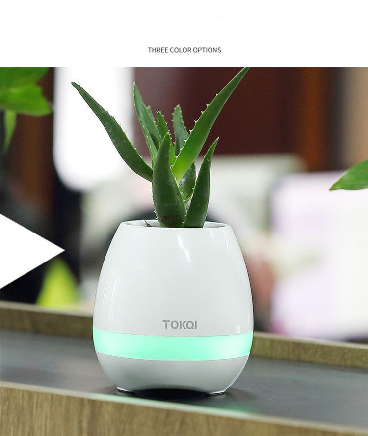 Touch-sensitive Music Vase