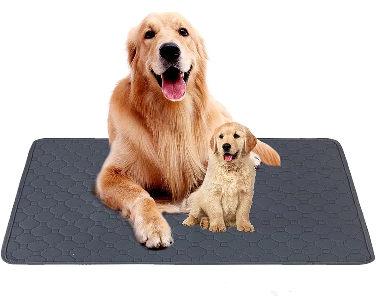 Washable Pee Pads for Dogs, Reusable Dog Training Pads, Non-Slip Waterproof Dog Pee Pads, Puppy Training Pads, Whelping Pads for Dogs, Cats