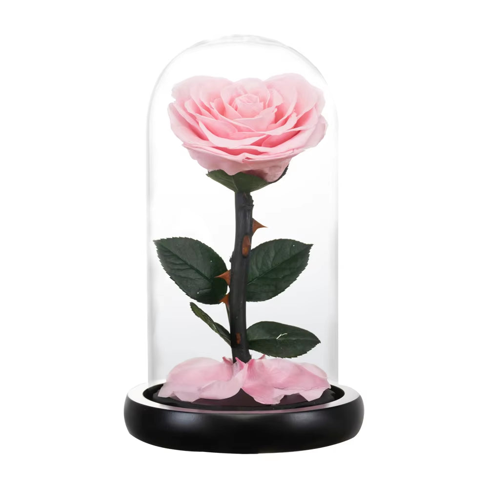 Heart Shaped Preserved Rose Beauty and the Beast Eternal Rose in Glass Dome Wedding Forever Flowers Valentines Christmas Gifts