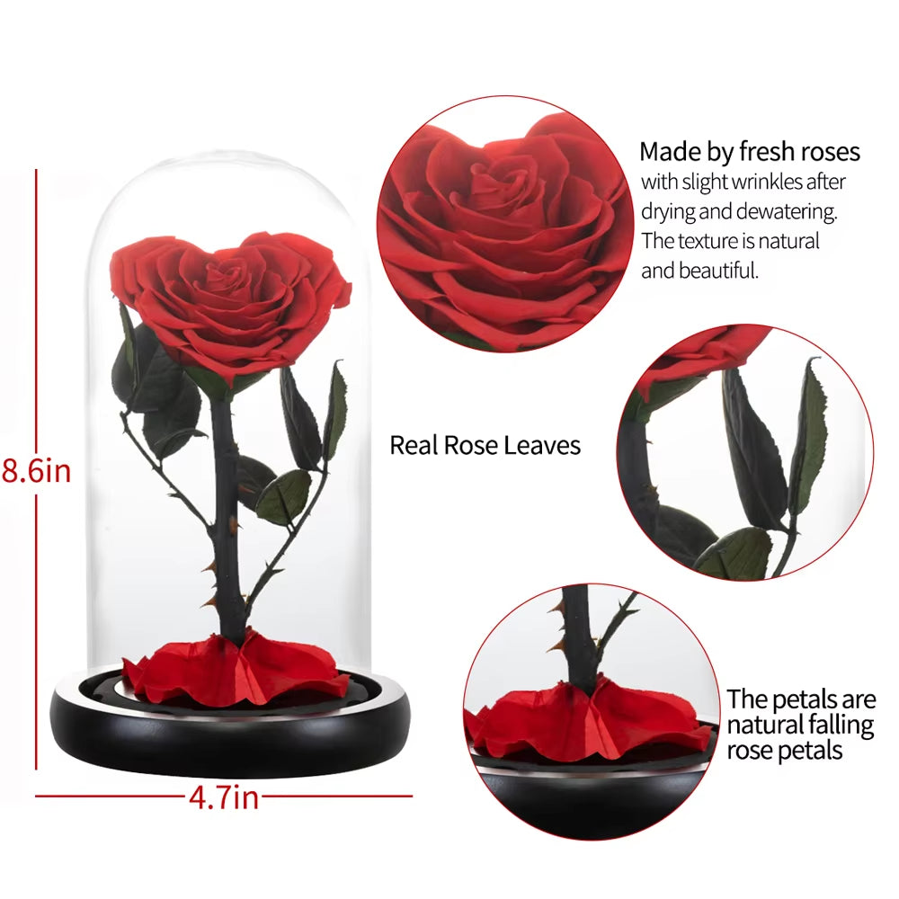 Heart Shaped Preserved Rose Beauty and the Beast Eternal Rose in Glass Dome Wedding Forever Flowers Valentines Christmas Gifts