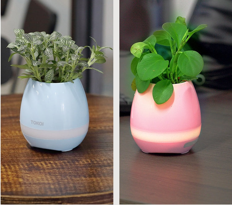 Touch-sensitive Music Vase