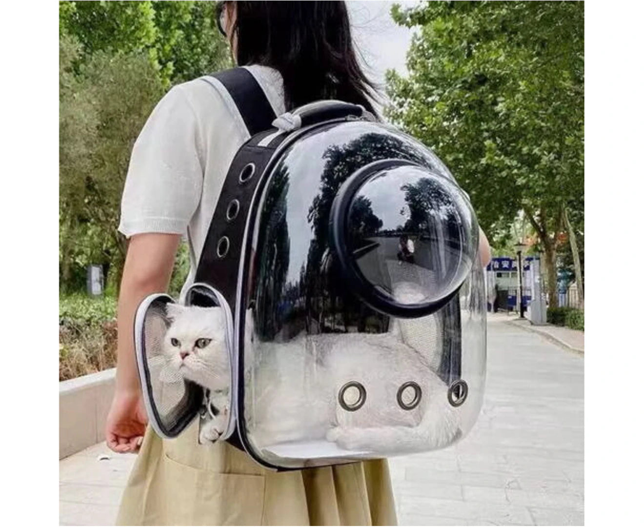 Cat Dog Breathable Pet Carrier Bag Outdoor Travel Transparent Space Backpack AU - Black