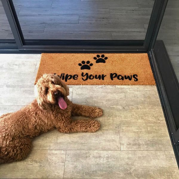 Wipe Your Paws Doormat-2