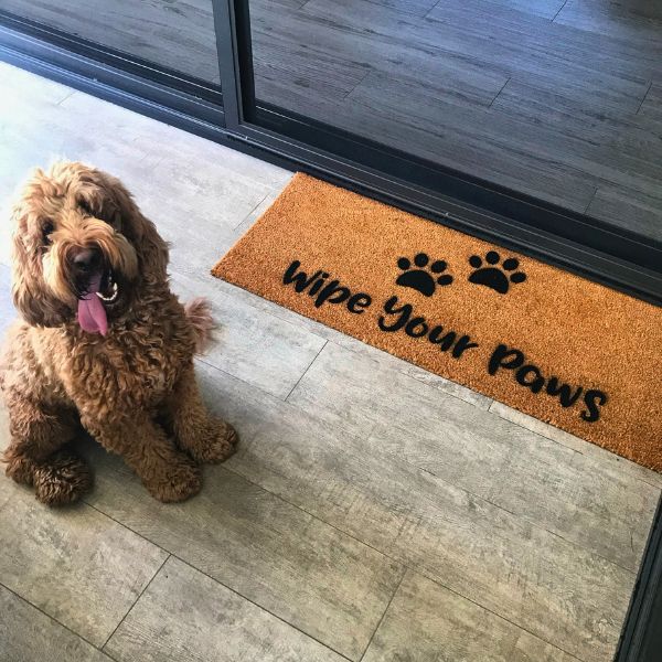 Wipe Your Paws Doormat-4