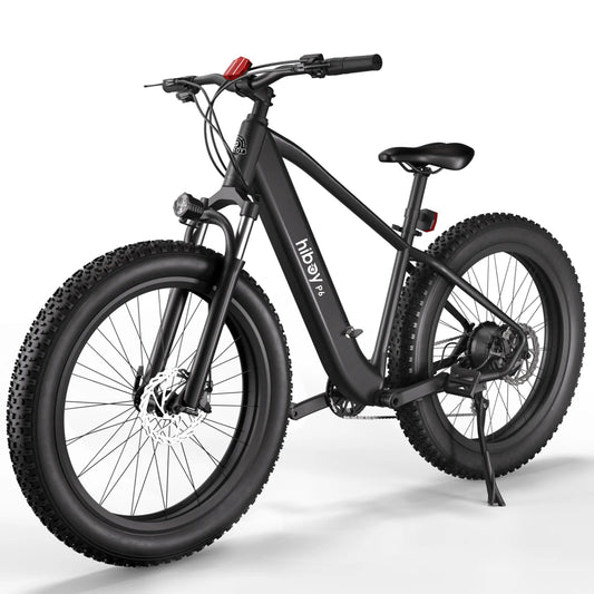 P6 Fat Tire Electric Bike 2024