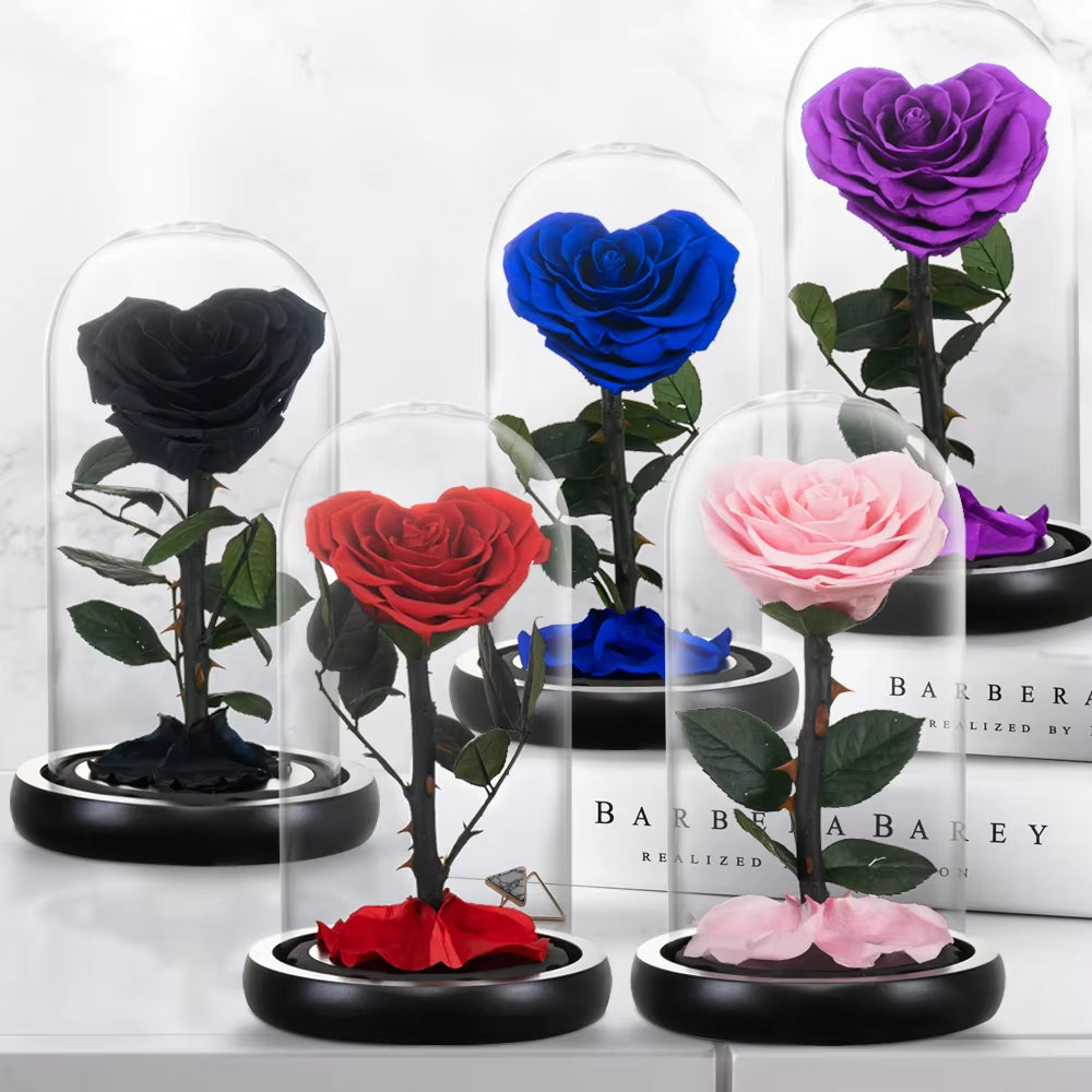 Heart Shaped Preserved Rose Beauty and the Beast Eternal Rose in Glass Dome Wedding Forever Flowers Valentines Christmas Gifts