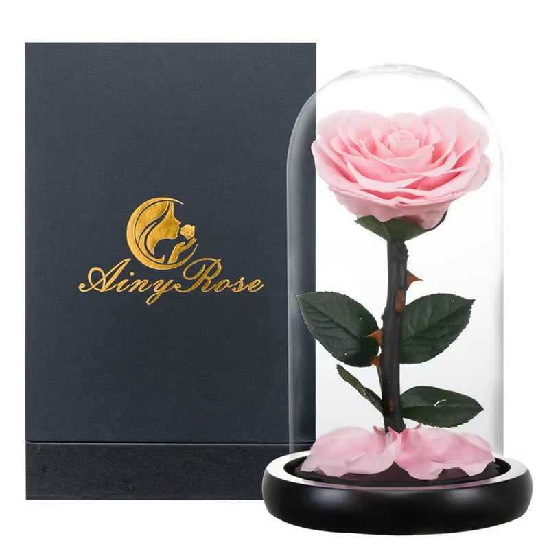 Heart Shaped Preserved Rose Beauty and the Beast Eternal Rose in Glass Dome Wedding Forever Flowers Valentines Christmas Gifts