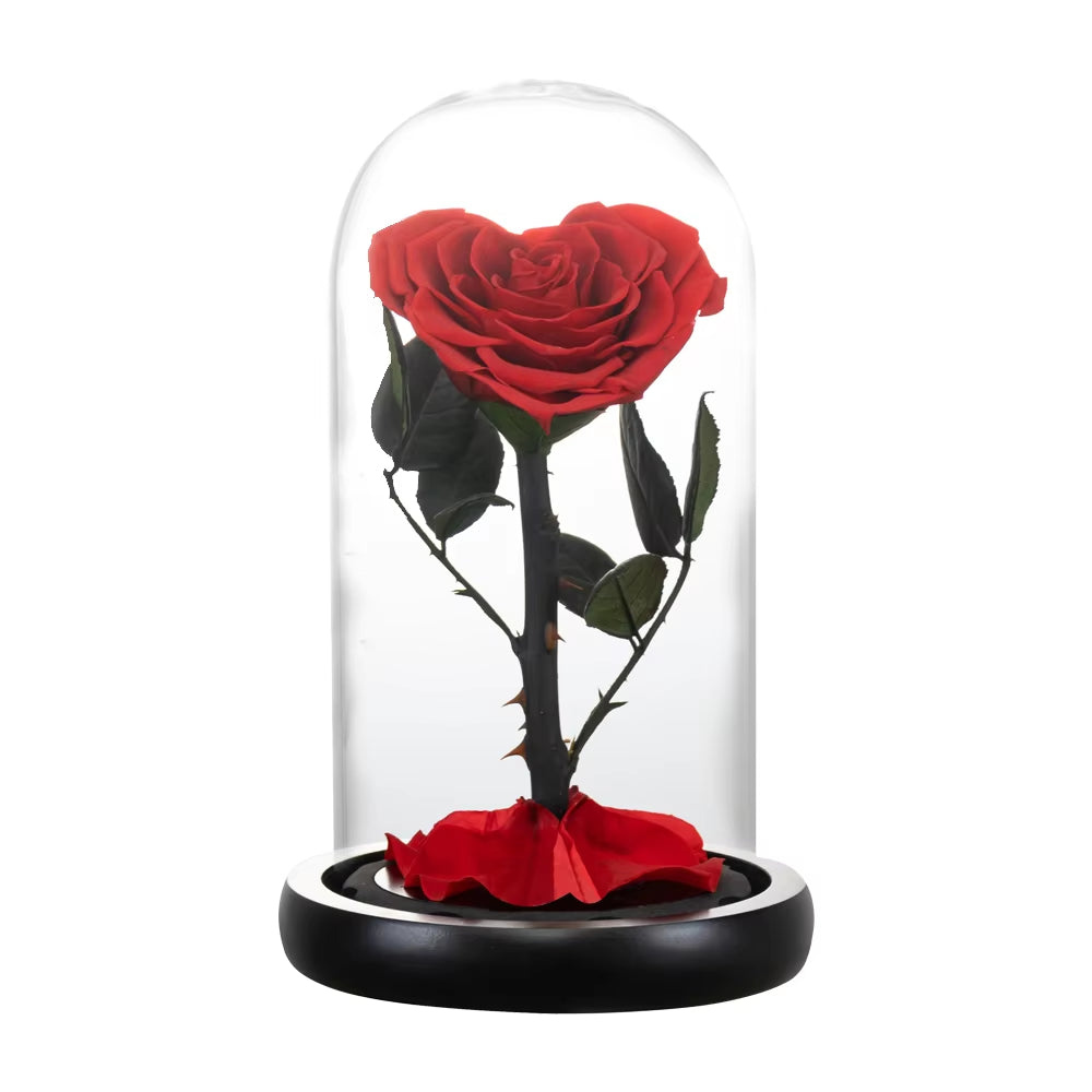 Heart Shaped Preserved Rose Beauty and the Beast Eternal Rose in Glass Dome Wedding Forever Flowers Valentines Christmas Gifts